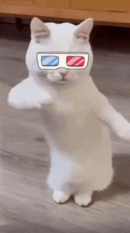 Dance Cat GIF - Find & Share on GIPHY