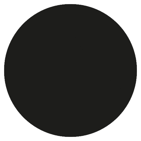 Embotits Mitjans Sticker