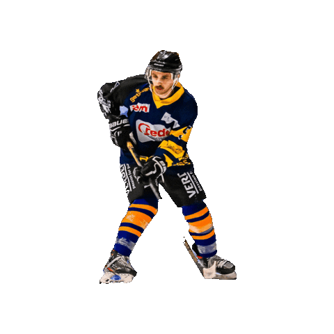 BergischRaptors Sticker