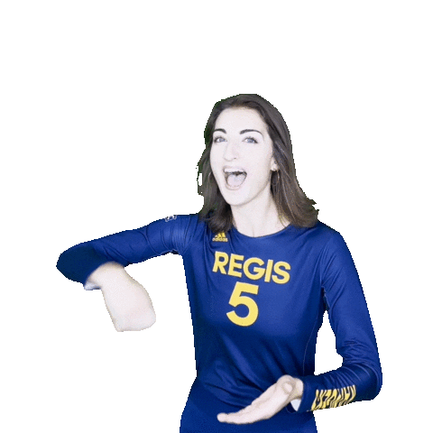 Regis University Volleyball Sticker