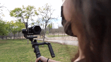 Dzoom GIF