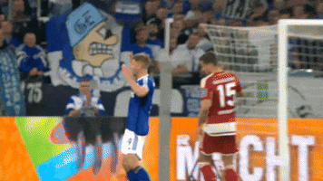 Football Applause GIF by FC Schalke 04