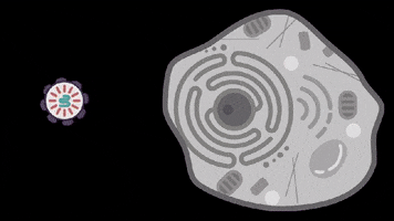 Dna GIF