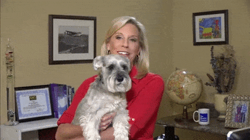 Dog Laughing GIF by The Weather Channel