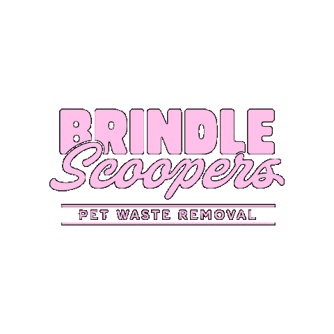 Brindle Scoopers Sticker