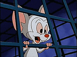 pinky and the brain GIF
