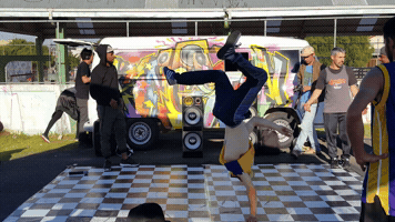 julialedur  GIF