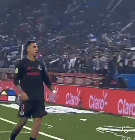 Colo Colo GIF