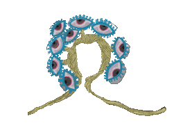 Eyes Sticker