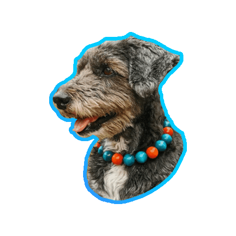 Happy Dog Sticker by CollarCrafts