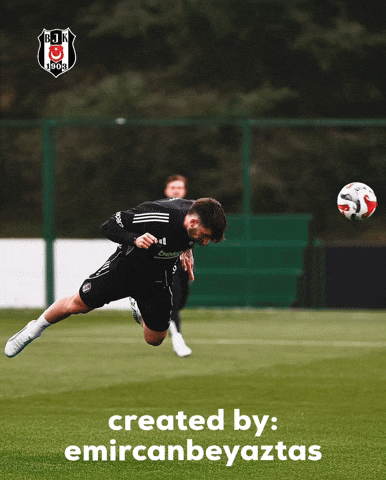 Beşiktaş GIF