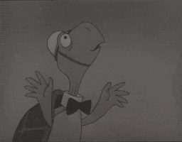 Maryland Terrapins GIF