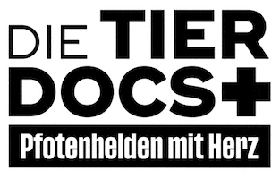 Dtd25 Sticker by JustFriends