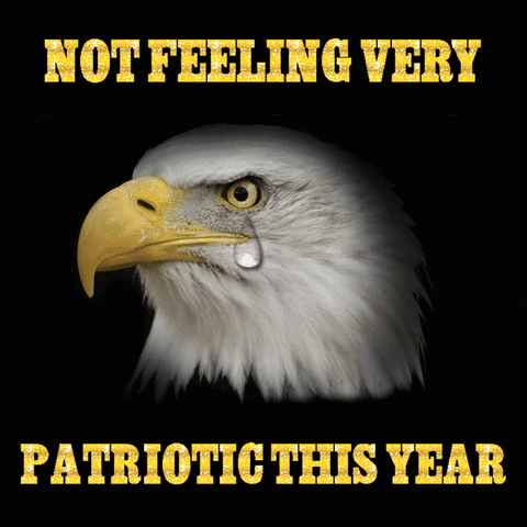 Photo gif. Profile of an American bald eagle rests over a black background. A single tear falls continually from its eye. Text, “Not feeling very patriotic this year.”