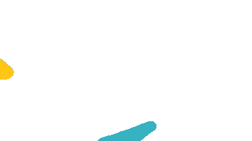 ERLI.pl Sticker