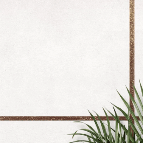 Dimare Planejados GIF