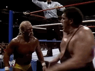 Andre The Giant Sport GIF by WWE - Find & Share on GIPHY