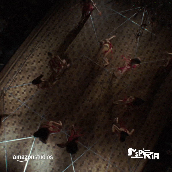 Suspiria GIF by Amazon Studios