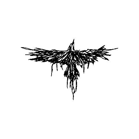 Raven Sticker by Hydrus Poetry