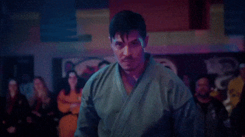 Cobra Kai GIF