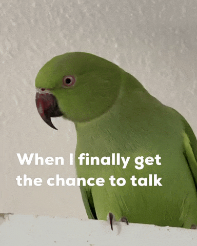 Yapping Indian Ringneck GIF