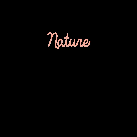 skincare naturalskincare GIF by Lila Naturals