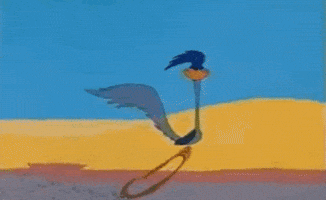Road Runner GIFs - Find & Share on GIPHY