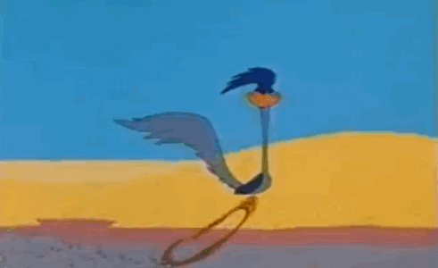 Road-runner GIFs - Get the best GIF on GIPHY