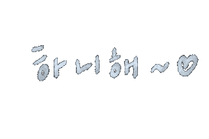 세븐틴 Carat Sticker