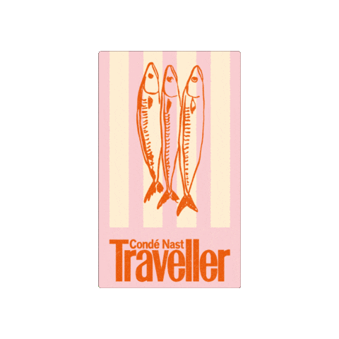 cntraveller Sticker