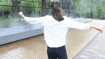 rowanvpro vpro GIF