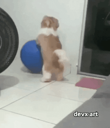 Dog Playing GIF by DevX Art