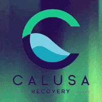 CalusaRecovery crs calusa calusa recovery GIF