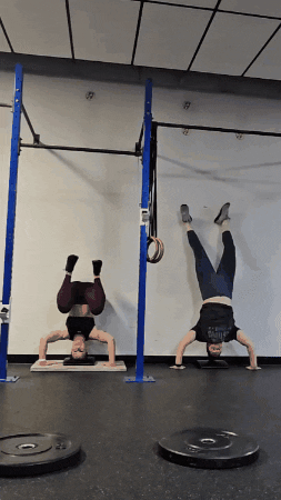 Crossfit Handstandpushup GIF by Florida Lifestyle Realty