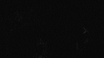 Addygoat GIF