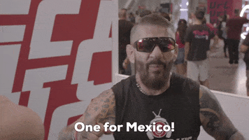 Viva Mexico Pride GIF by UFC