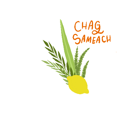 Sukkot Chag Sameach Sticker by Chabad on Campus