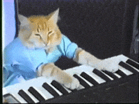 pianocat