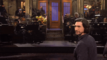 Snl GIF
