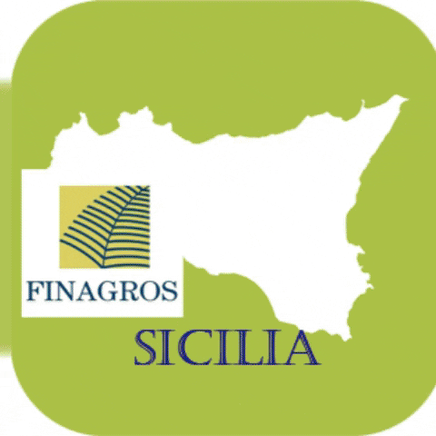 Finagros GIF