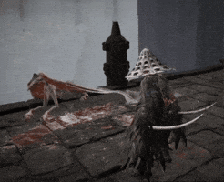 Elden Ring GIF