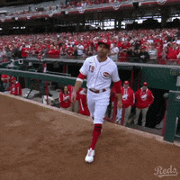 Brandon Drury Baseball GIF by Cincinnati Reds - Find & Share on GIPHY
