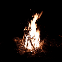 camping on fire GIF