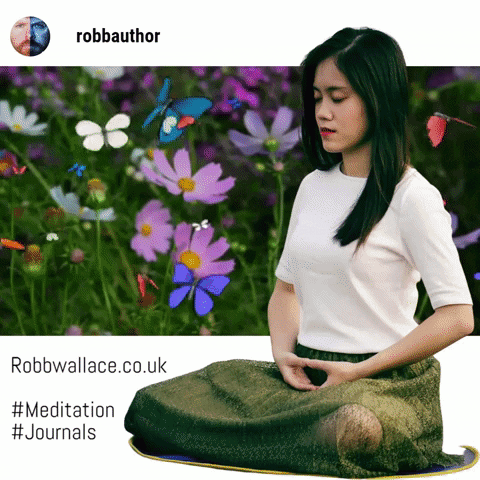 robbauthor relax meditation journal mindfulness GIF