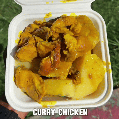 Chicken Curry Foodie GIF