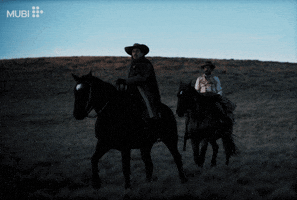 Mark Stanley Chile GIF by MUBI