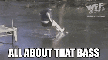Meme gif. Man jumps from a dock onto a frozen lake and skids across the surface, cracking it. Text reads, "All about that bass."
