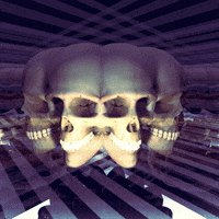 skulls GIF by 29thfloor