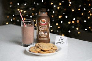 Santa Claus GIF by promisedlanddairy