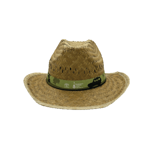 Toyota Fanzone Sticker by Tamworth Country Music Festival